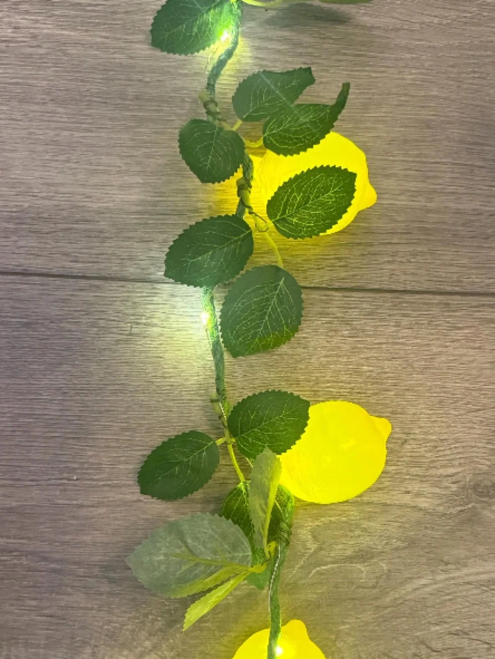 Lemons + Leaves Garland String Lights Party Decor 18 Lemons 5 Ft Mediterranean